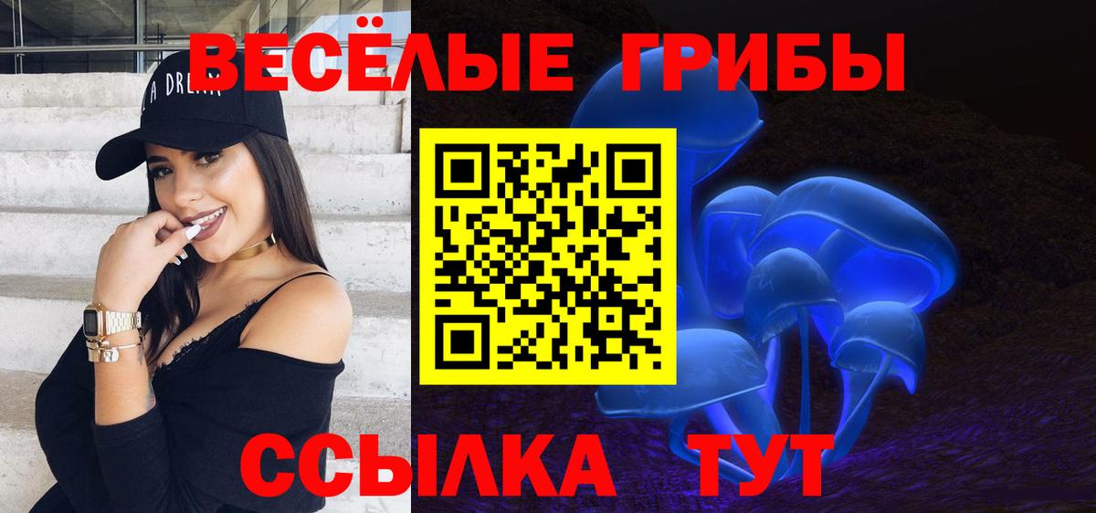 Псилоцибиновые грибы Psilocybine cubensis  Вход с VPN  Сергиев Посад 