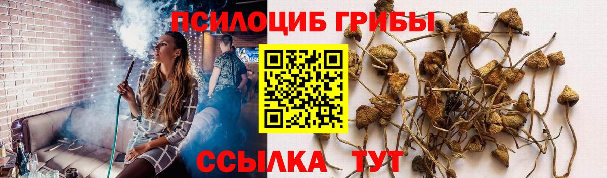 Псилоцибиновые грибы MAGIC MUSHROOMS Сергиев Посад